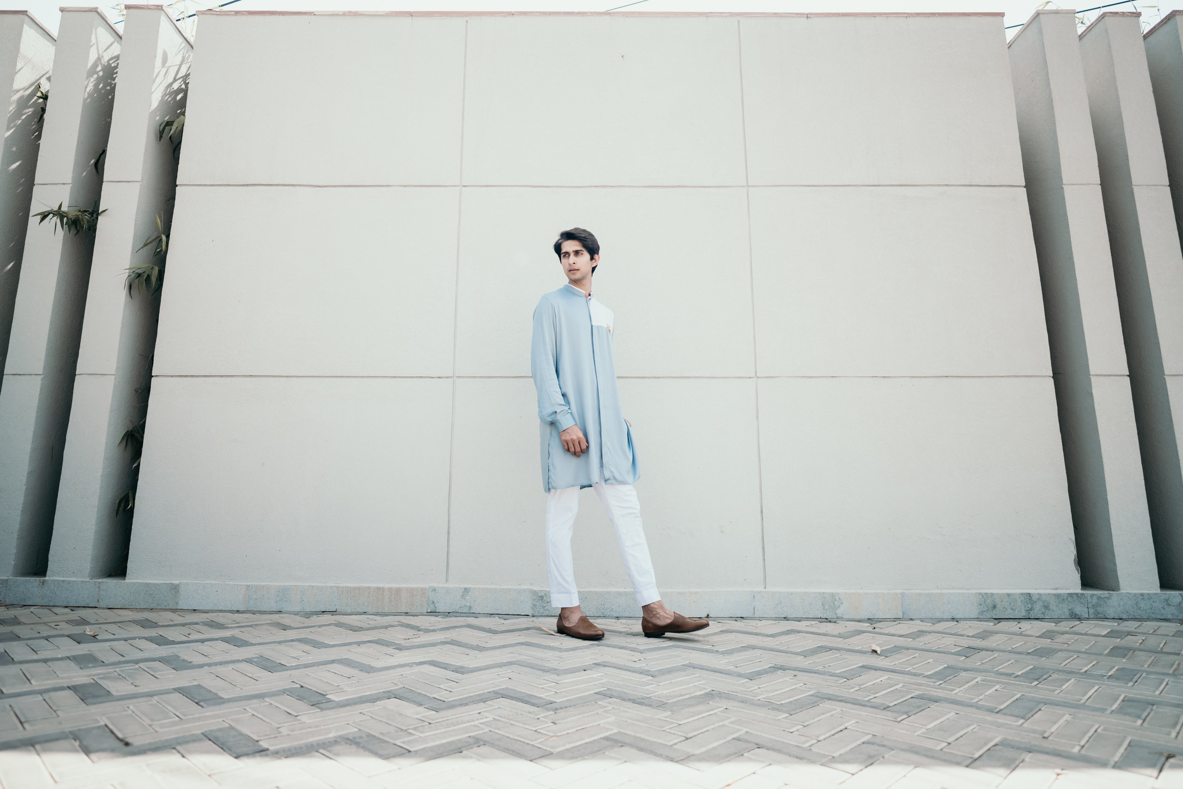 Tiger Embellished Shirt Kurta