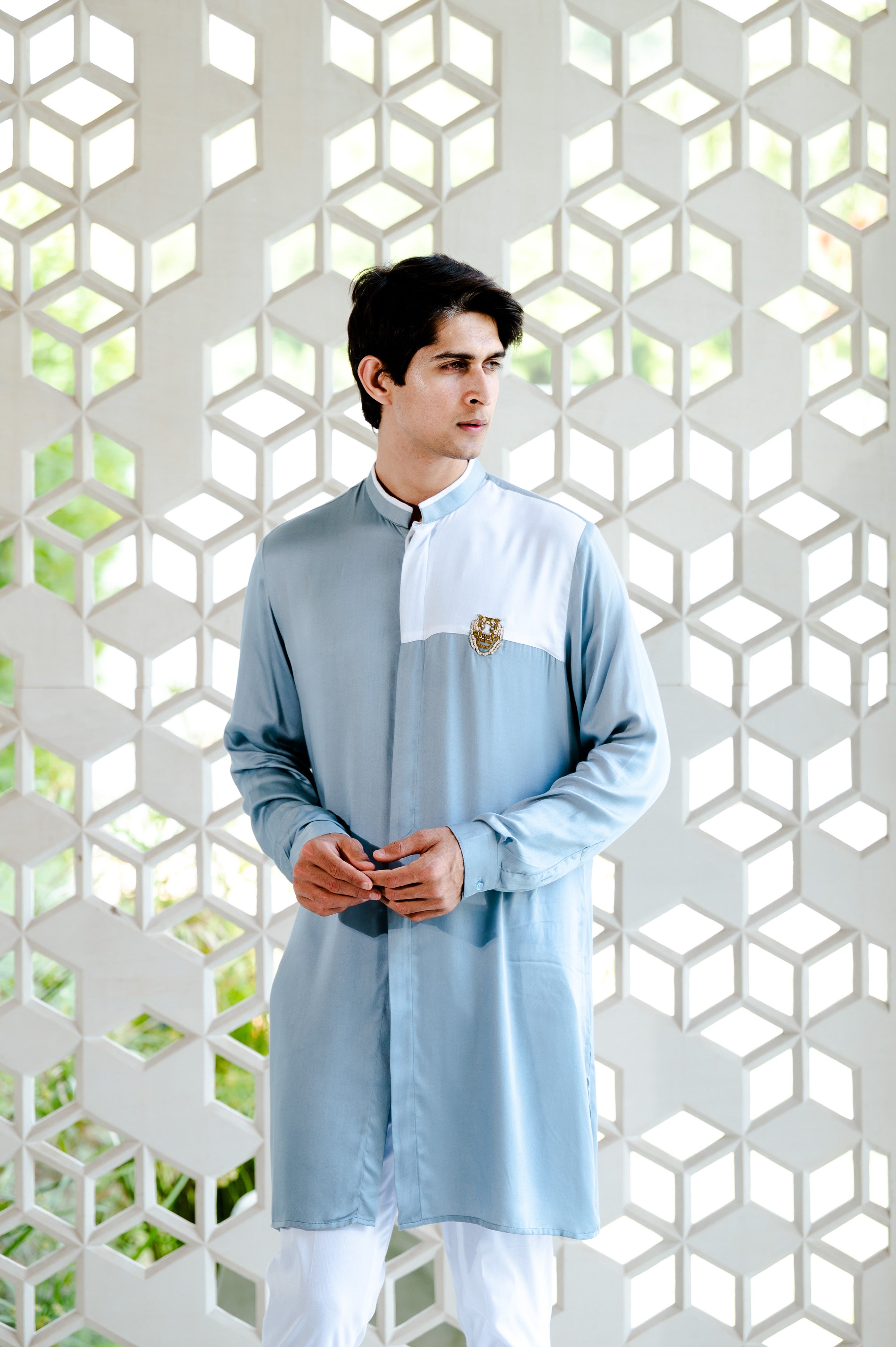 Tiger embellished shirt kurta