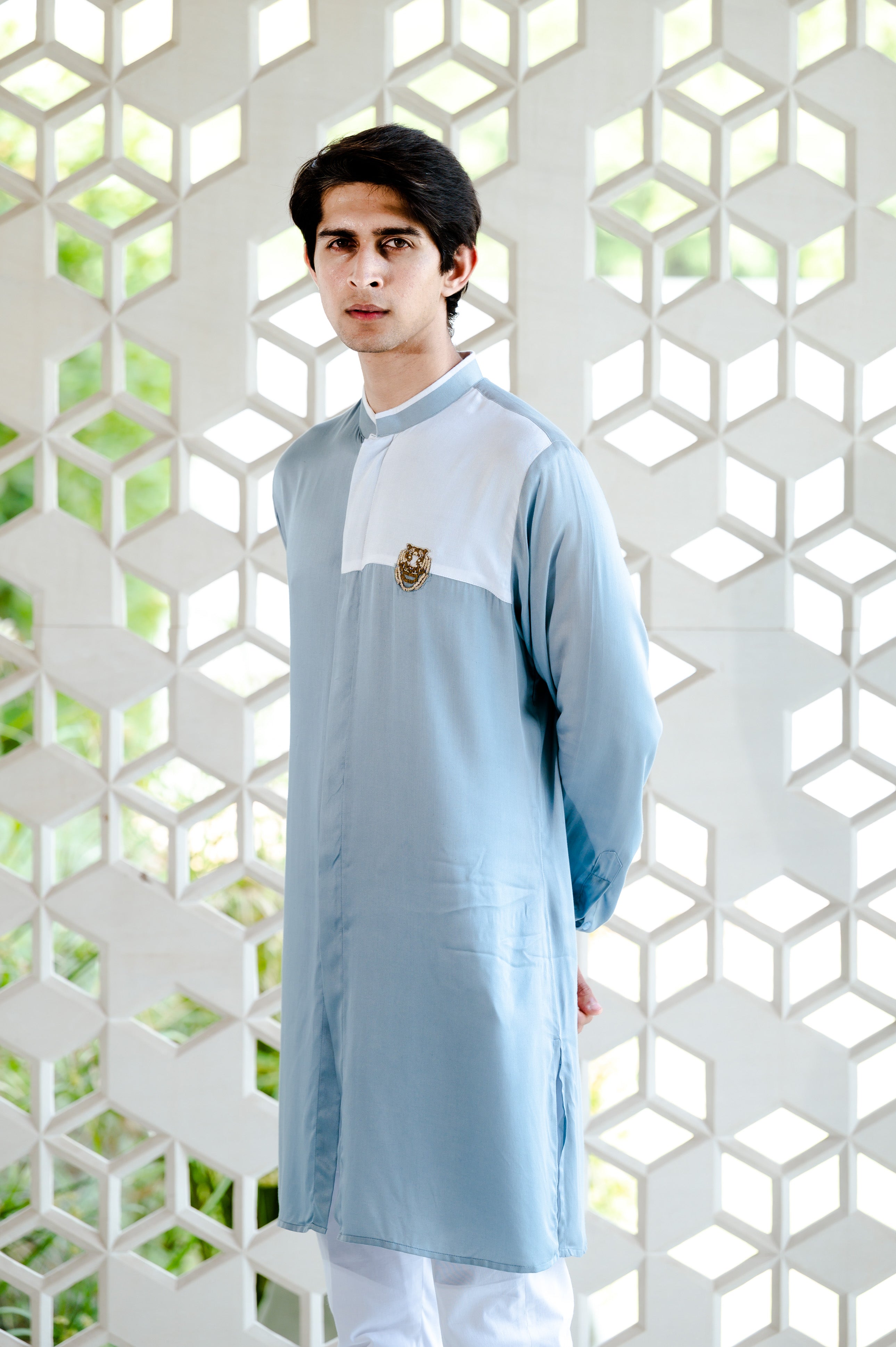 Tiger embellished shirt kurta